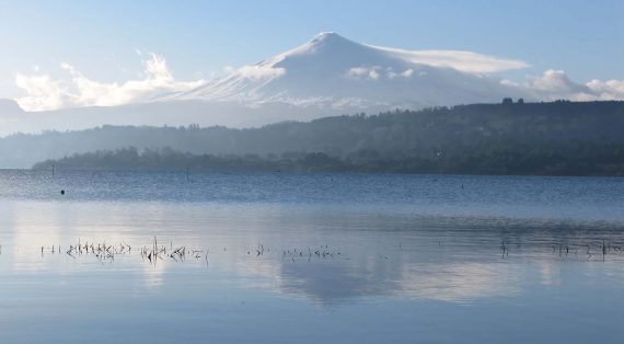 Condominio Newen: Las bondades de vivir en Villarrica